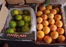 Green Chinese grapefruit along side Outspan grapefruit from South Africa, this was the only fruit on display where the quality was not good.