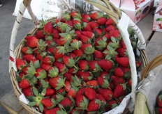 Beautiful and very tasty strawberries.