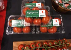 MightyVine's first harvest: Roterno tomatoes on the vine and Robinio cherry tomatoes. The products target the Chicago consumer market and its surroundings.