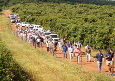 Trekking up to an orchard.