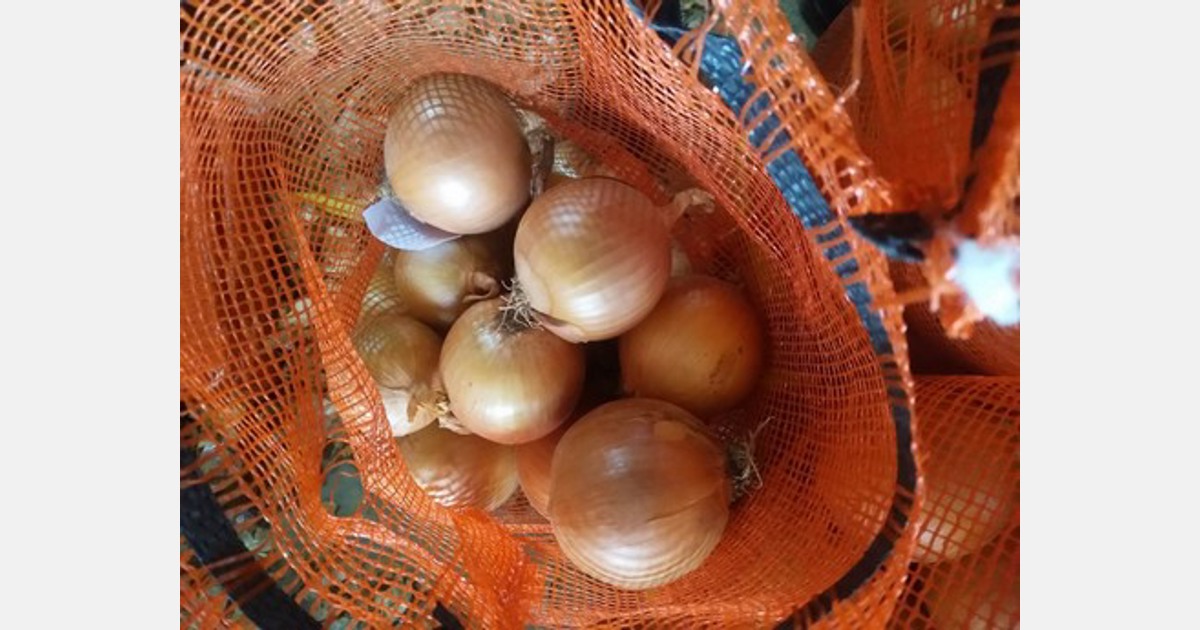 Demand for China's quick-frozen onions has increased significantly in the  European market