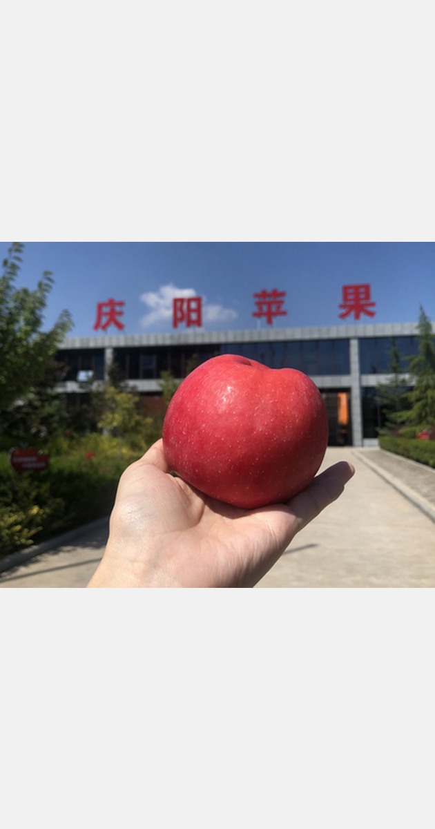 Japanese Sun Fuji Apples Selling for 60 Yuan Apiece in China