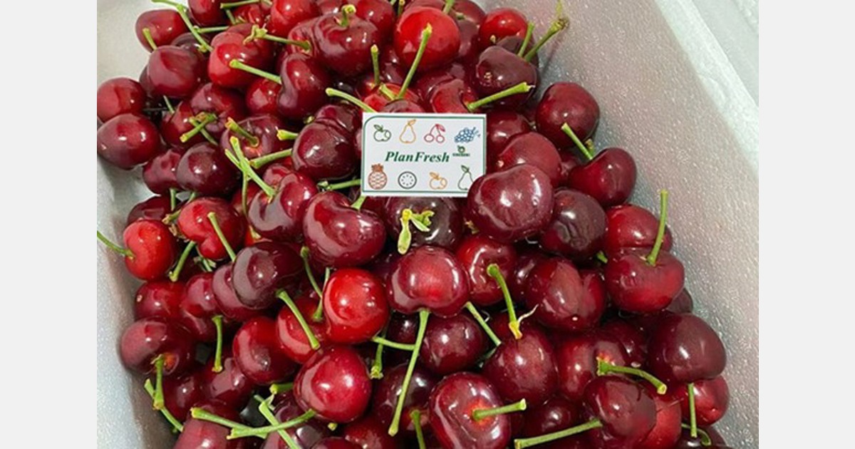We want to help cherry processors and sellers improve product