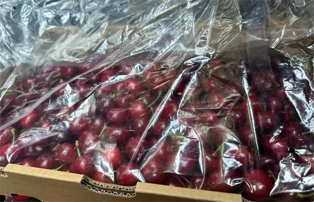 Chilean cherries arrive at Guangzhou market, new season Belgian