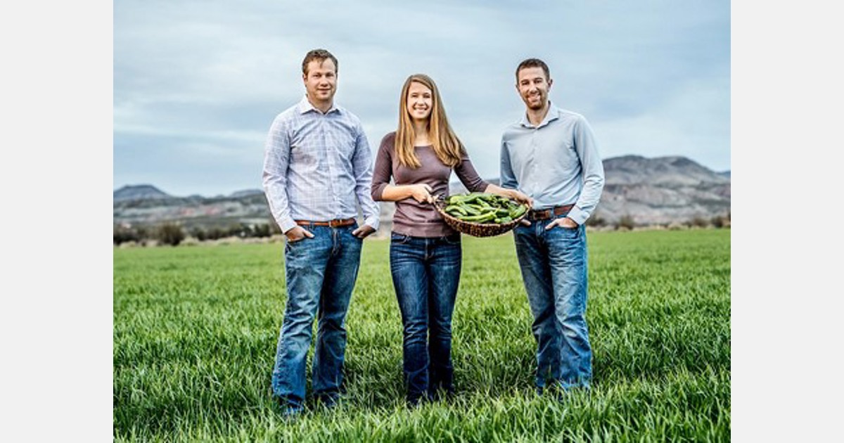 Hatch Chile season begins in New Mexico