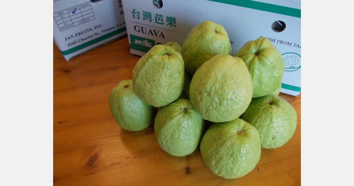 Era 40oz  Guava (PRE-ORDER, SHIPS AROUND 01/31/2024)