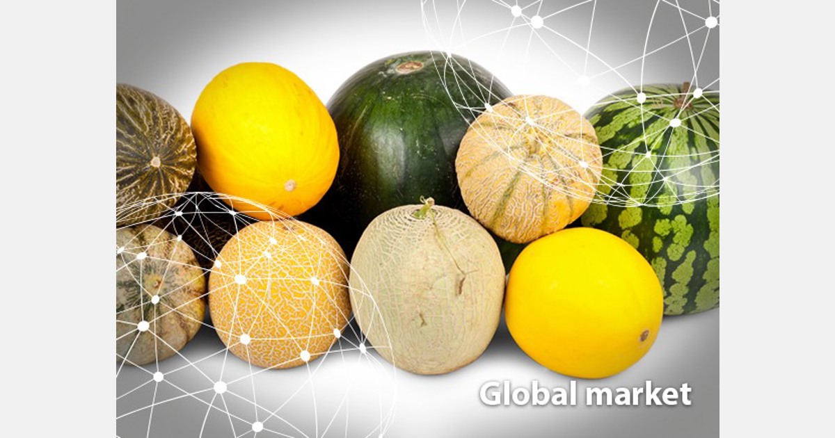 OVERVIEW GLOBAL MELON MARKET