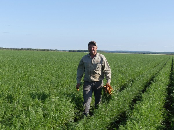 Weather Causes Delays In Ontario Carrot Production   Carrotsjohnedited 