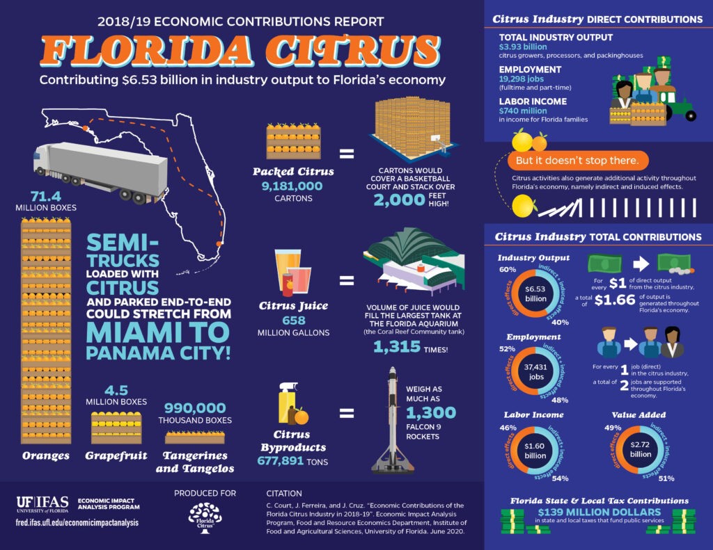 Economic Contributions Of The Florida Citrus Industry In 2018-19