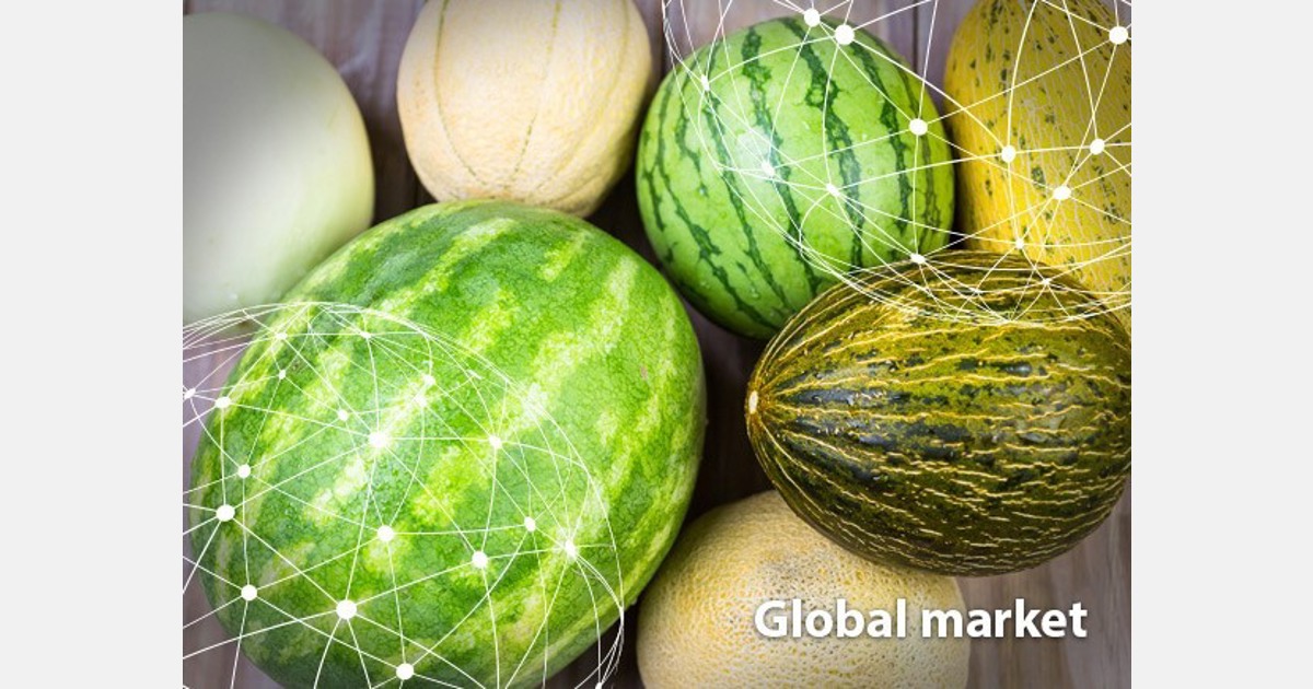 Honeydew Melon Market Summary - Produce Blue Book