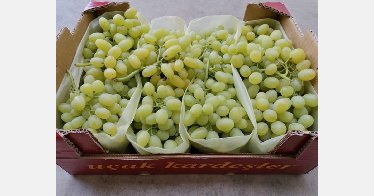 FreshPoint  Grapes, Green Seedless