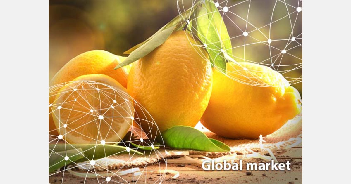 GLOBAL OVERVIEW LEMONS