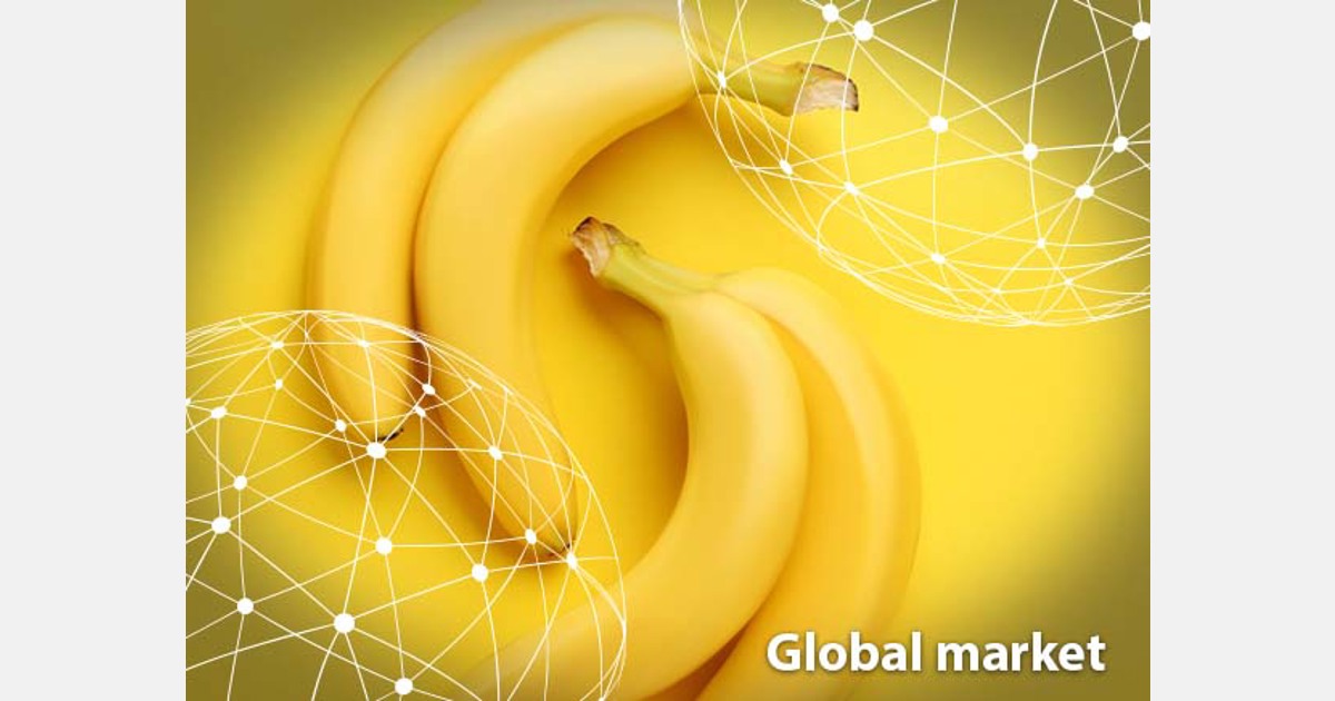 The Battle of Bananas: Conventional vs. Organic