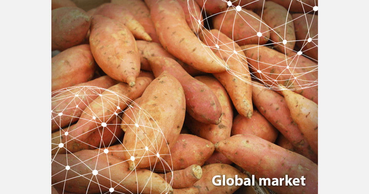 The European market potential for yams