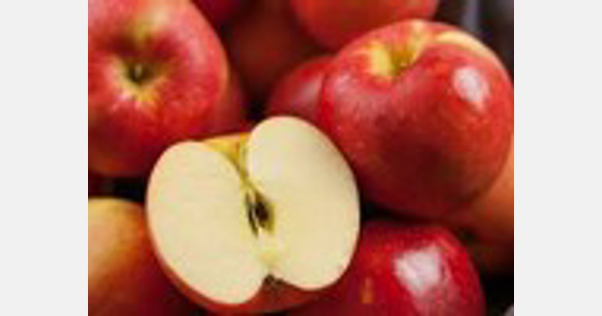 SweeTango Apples Ready to Heat Up Spring Sales - Perishable News