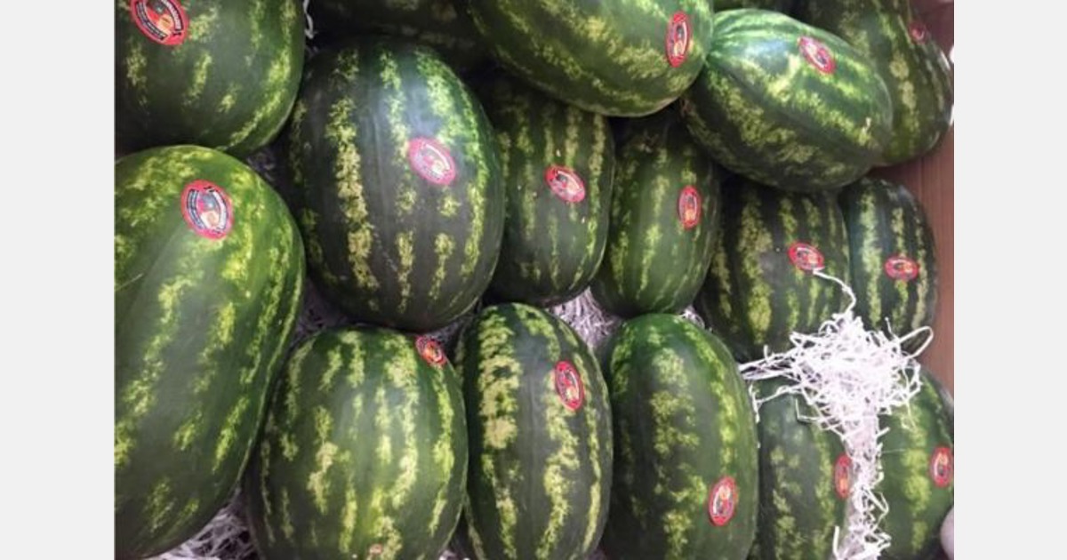 Iranian watermelons transit through Turkey at lower prices than last season
