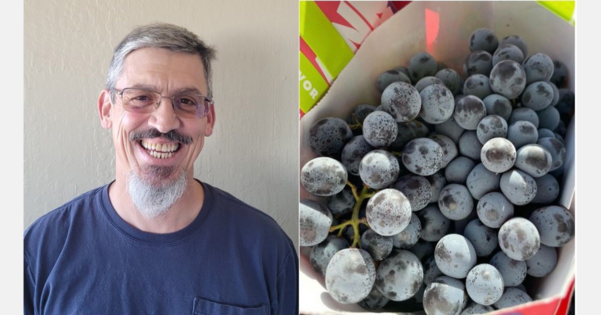 Organic Grapes Remain a Seasonal Play