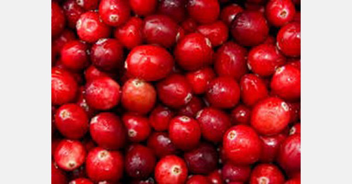 Cranberry Berries, varieties, production, seasonality