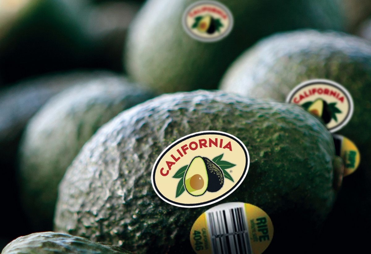 A Sneak Peek At The 2024 California Avocado Crop Ahead   CAavocadoedited 