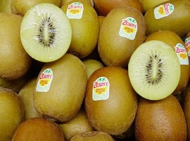 Zespri Kiwifruit Harvest From Northern Hemisphere Growers Set To Exceed ...