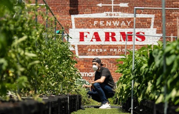 Fenway Park has a farm, and it's enormous - Green Sports Alliance