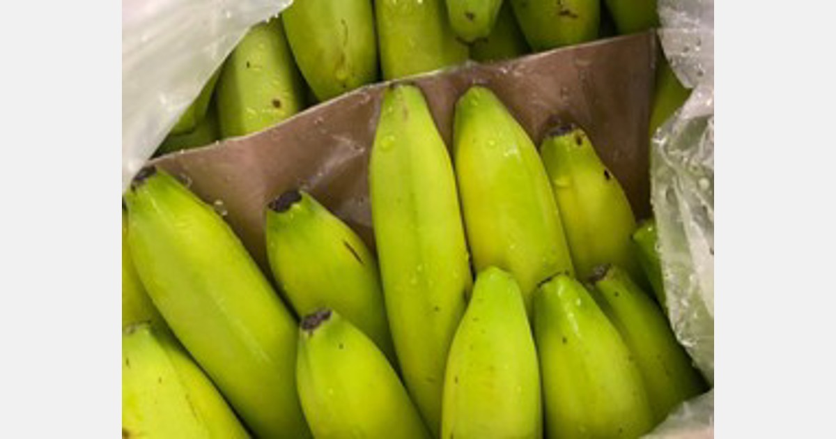 NZ's banana shortage is based on seasonal demand