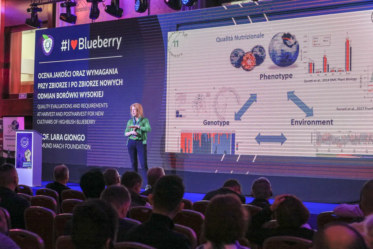 Optimization is the motto of the International Blueberry Conference 2024