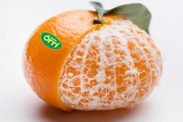 Orri Jaffa 2024 mandarin season has started with big demand in Europe