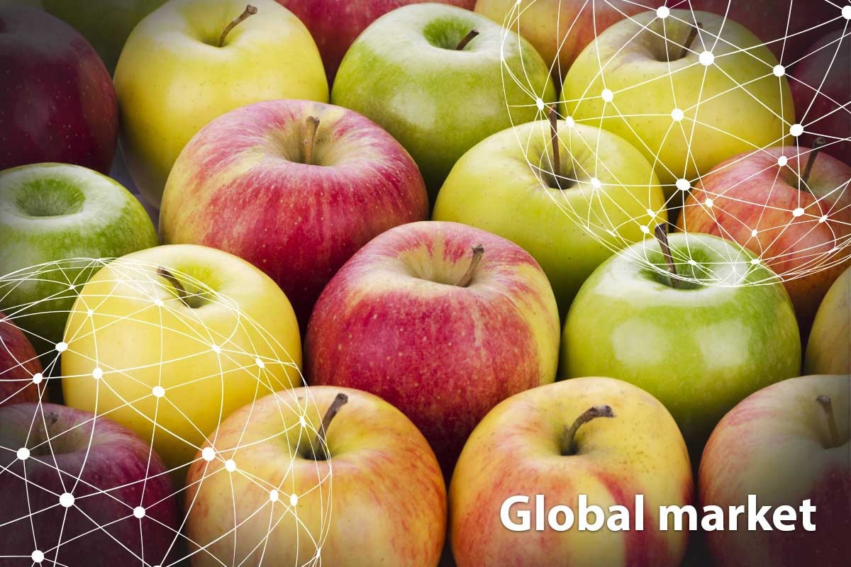 GLOBAL MARKET OVERVIEW APPLES   GlobalApples 