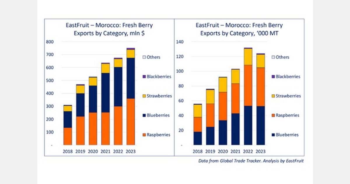 Resilience amidst adversity: Morocco's berry export boom in 2023