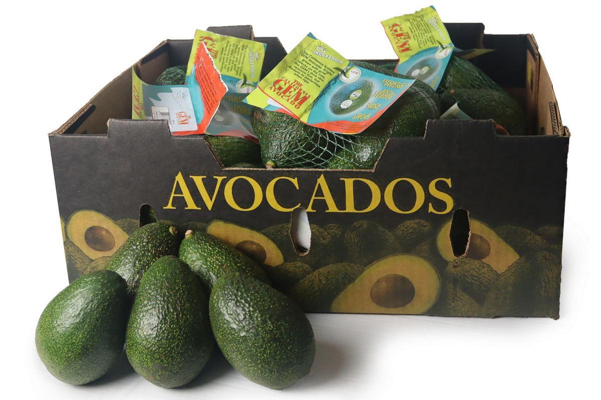 GEM avocados now available at select Costco warehouses