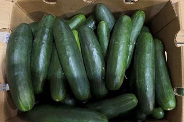 U.S. Salmonella Outbreak Has Been Linked To Cucumbers