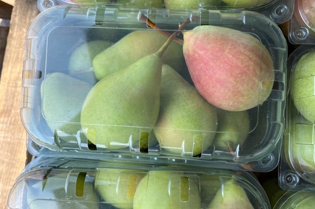 FreshPlaza: Favorable weather conditions lead to higher production of Greek pears