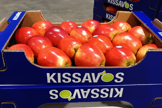 FreshPlaza: Early harvest for Greek apples