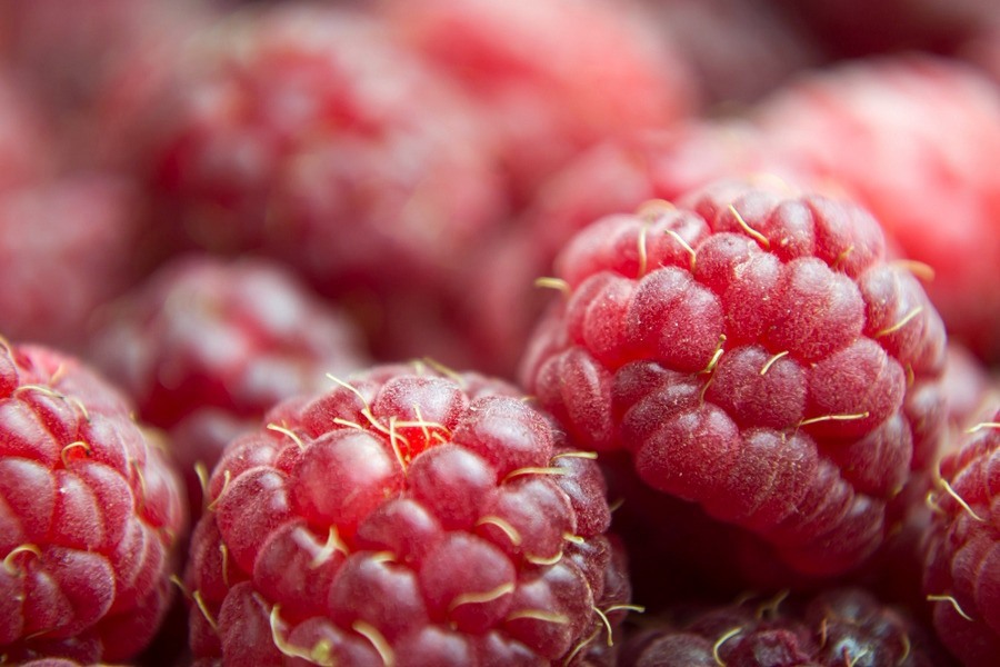 Tasmanian Raspberries And Blackberries Hit Shelves With 5,000-ton Season