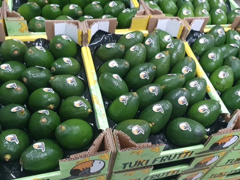 Consumers find attraction to bagged avocado options