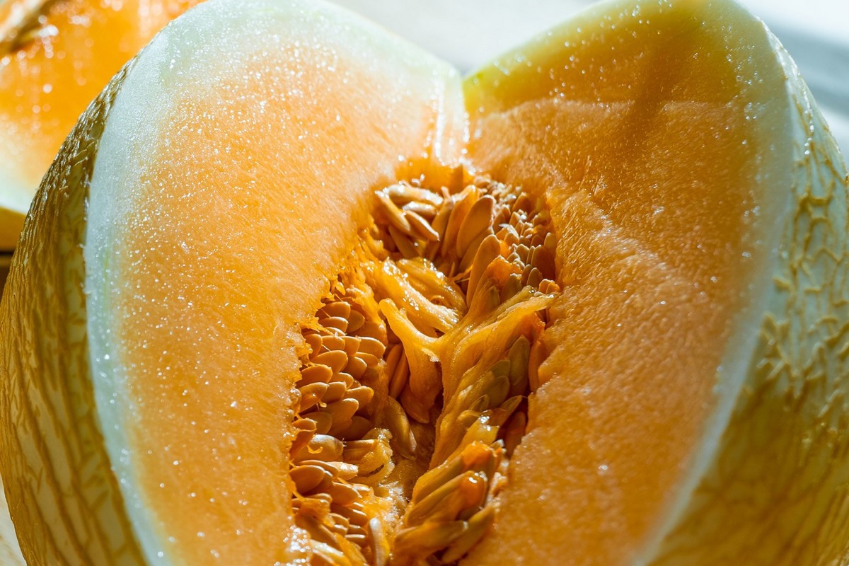 Waikiki Melon Receives Flavor Of The Year 2024 Award In Portugal   Fito 