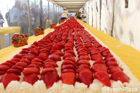 Paris Baguette Sets World Record for Best-selling Roll Cake | Chosunilbo AMP