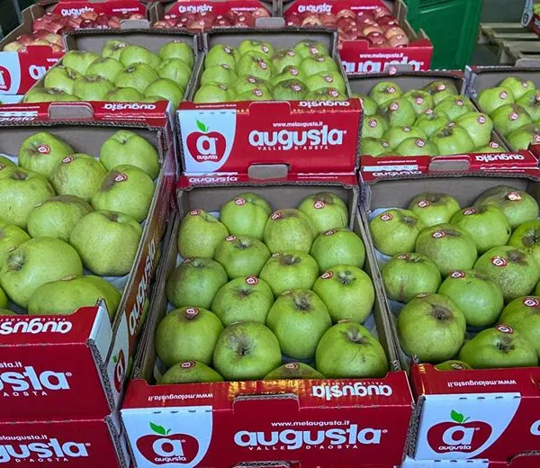 Augusta - Apple Store - Apple