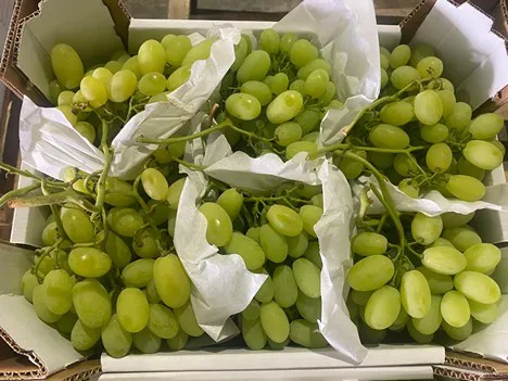 Organic Seedless Green Finger Grapes, Fruits