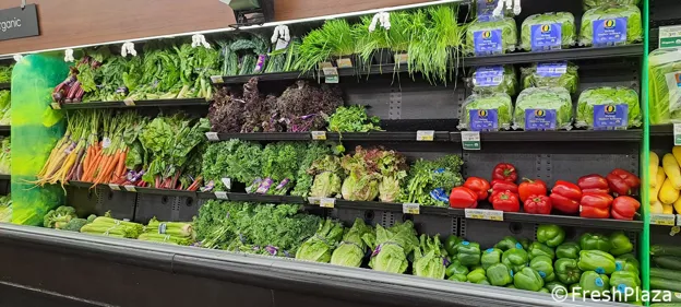 A supermarket produce section displaying a variety of fresh fruits