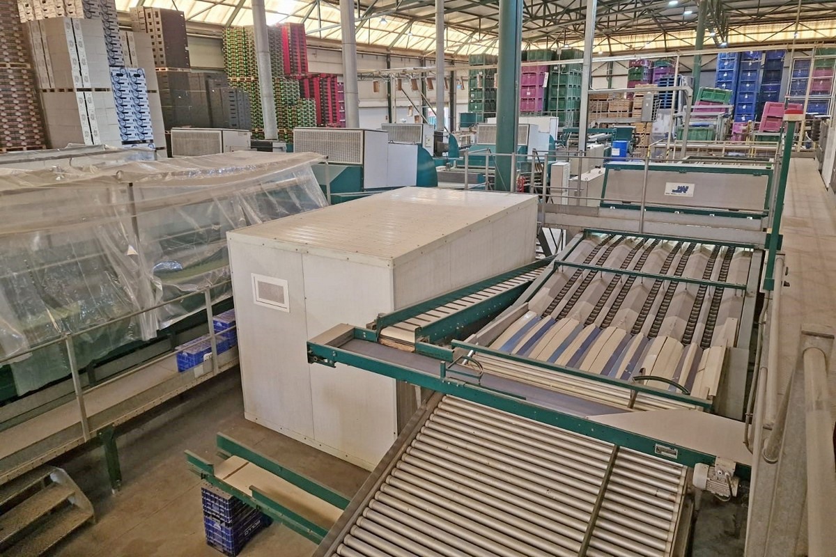 Pre-owned processing lines for the sorting of citrus fruits