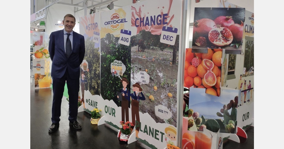 Prices rise on European markets due to global orange juice shortage