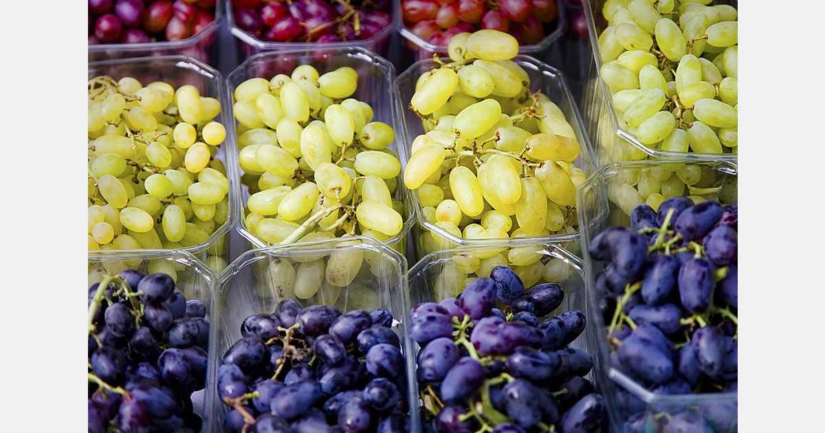 Chile, Mexico and Peru agree to establish a World Committee for Table Grapes