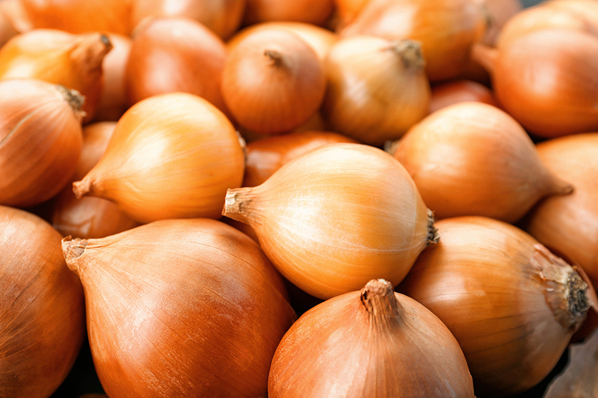 AI generated Onion slice layers on reflective backdrop create a visually  vibrant composition Vertical Mobile Wallpaper 36489940 Stock Photo at  Vecteezy