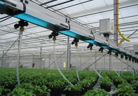 Uv light store for greenhouse