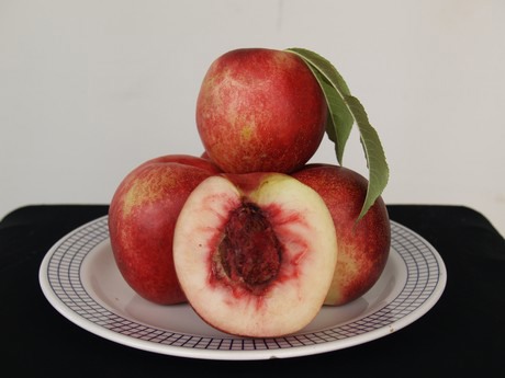 A Grade China Fresh Nectarine Fruit